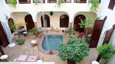 Riad – Maison d’hôtes, un des plus grand patio de la médina, très lumineux, 7 chambres dont un appartement en terrasse
