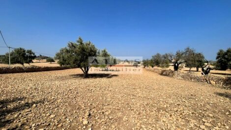 Titled Land for Sale in Essaouira – Idaougourd ; Great Opportunity