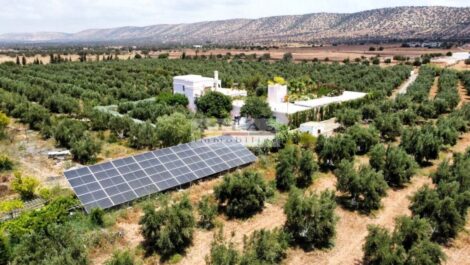 Exploitation agricole / Villa-Ferme de près de dix hectares près d’Essaouira !