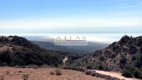 Vaste propriété en pierre de pays sur terrain morcelable de 2,5 hectares à Essaouira