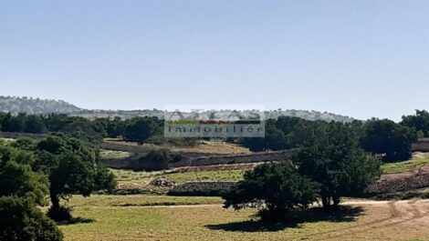 Exceptional 12,000 m² Land near Essaouira with Panoramic Views