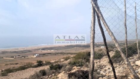 Essaouira : Seaside Land in Moulay Bouzerktoun