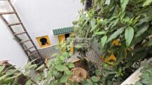 Classified Guesthouse Riad in the Marrakech Medina