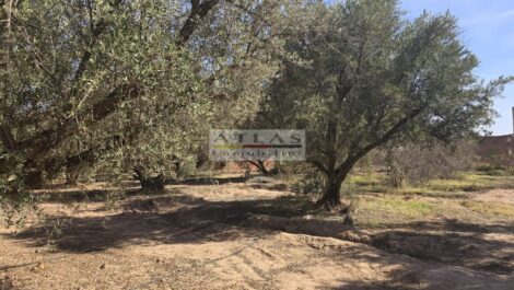 Exceptional 4.8-Hectare Agricultural Land After Assoufid Golf on the Agafay Road