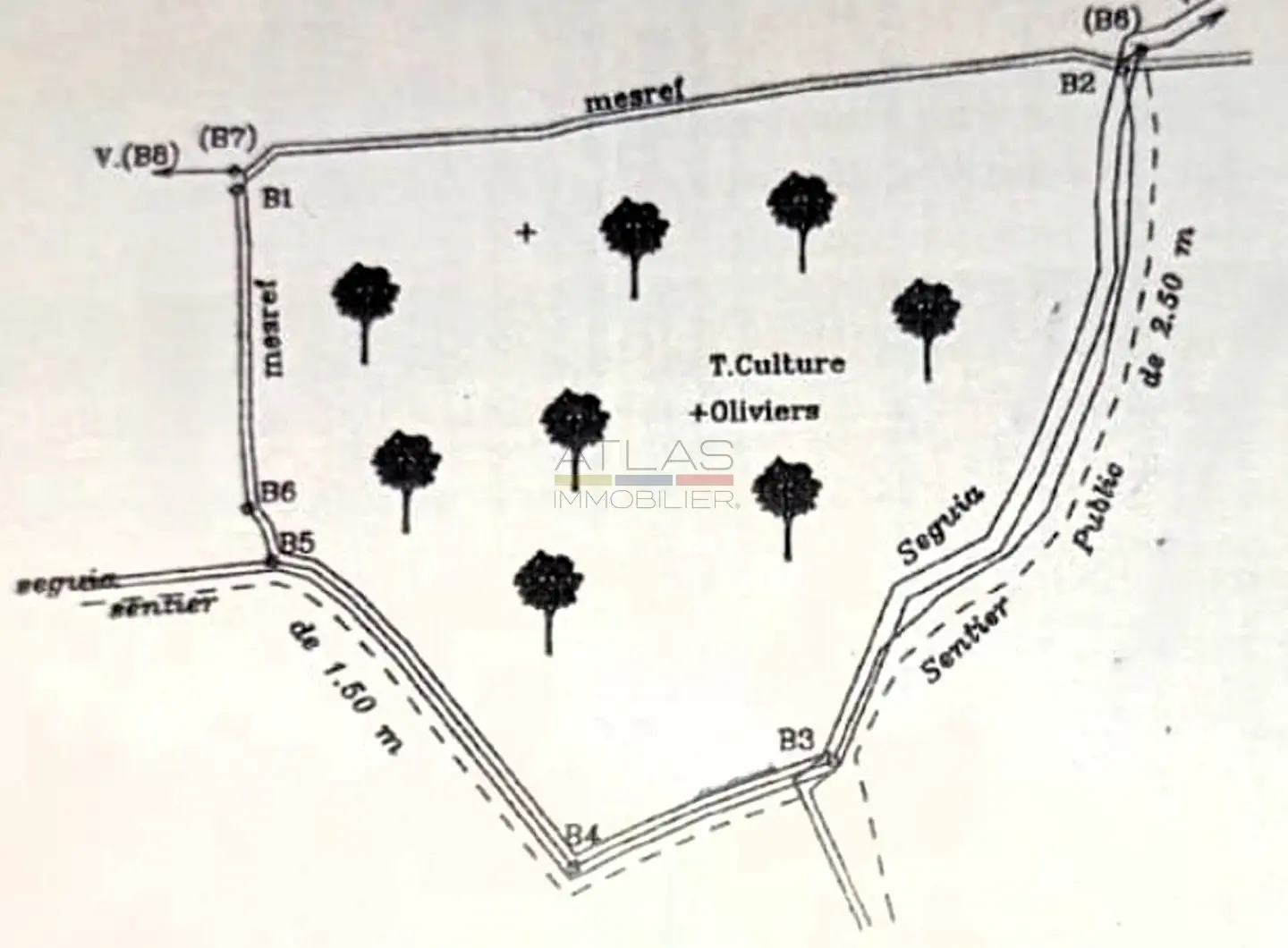 terrain-lotissement-batir-marrakech-investissement (2)