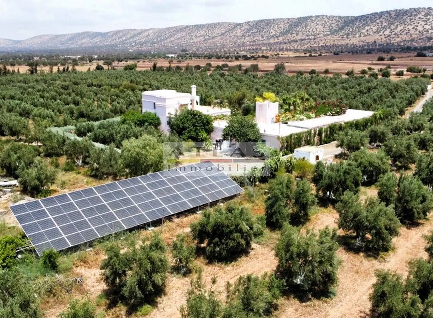 ferme-agricole-essaouira-investissement-agrotourisme (15)