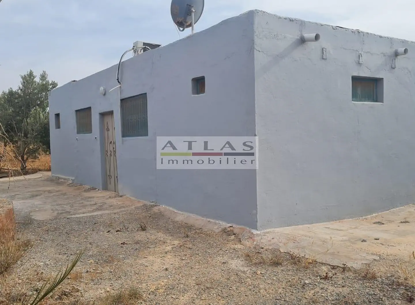 terrain-essaouira-oliviers-arganiers-amandiers-figuiers-maisonnette-eau-electricite (11)