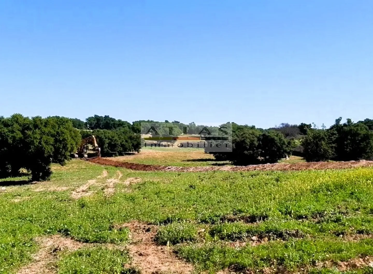 terrain-idaougourd-arganiers-vue-panoramique-essaouira-constructible-titre (5)