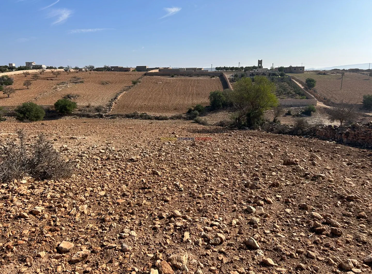 terrain-a-vendre-essaouira-hararta-titre-vue-panoramique-arganiers (1)