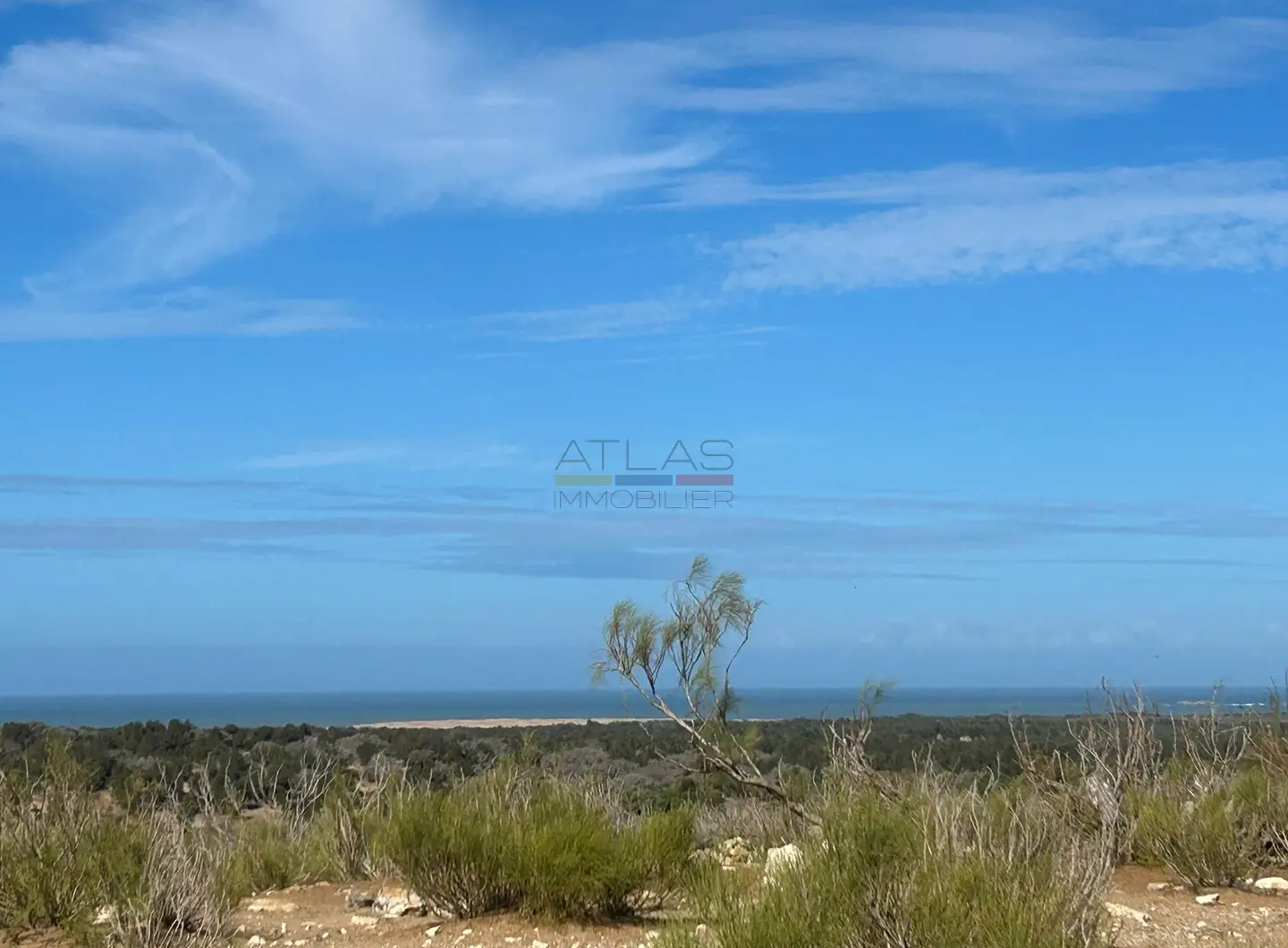 terrain-a-vendre-essaouira-vue-mer-parcelle-lotissement (5)