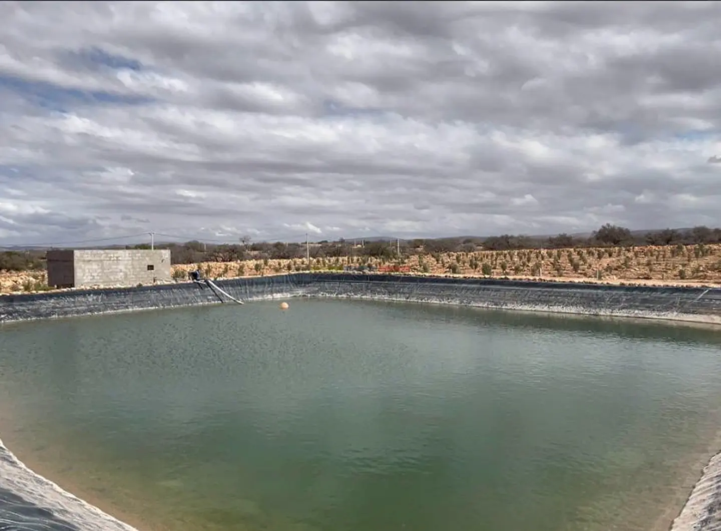 vente-domaine-agricole-essaouira-bouzemour-oliviers-irrigation (15)