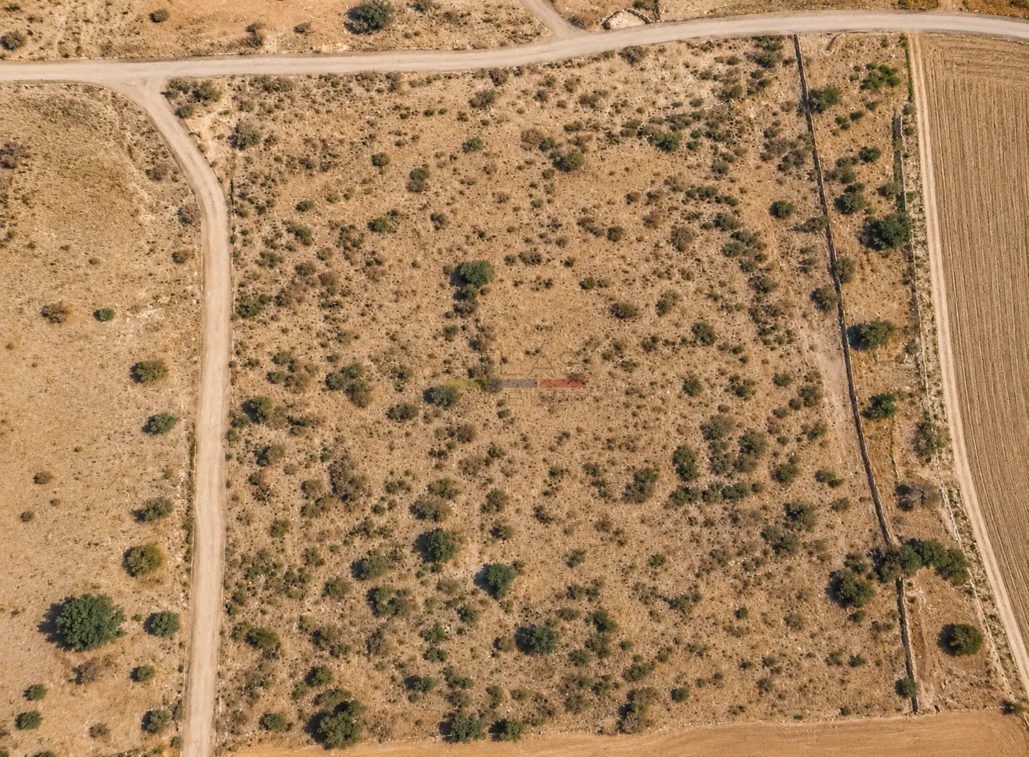 terrain-laraich-essaouira-20000m2-investissement-foncier-maroc (1)